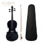 NAOMI 4/4 Black Acoustic Violin Spruce Top & Ebony Fitting Basswood Violin Outfit for Beginners W/Vi