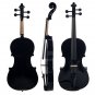 NAOMI 4/4 Black Acoustic Violin Spruce Top & Ebony Fitting Basswood Violin Outfit for Beginners W/Vi