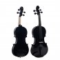 NAOMI 4/4 Black Acoustic Violin Spruce Top & Ebony Fitting Basswood Violin Outfit for Beginners W/Vi