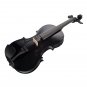 NAOMI 4/4 Black Acoustic Violin Spruce Top & Ebony Fitting Basswood Violin Outfit for Beginners W/Vi
