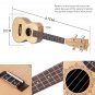 NAOMI Ukulele 23 Inch Ukulele Solid Spruce Top Zebrawood Back Mahogany Ukulele 4 String Hawaii Guita