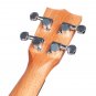 NAOMI Ukulele 26 Inch Ukulele Solid Spruce Top Zebrawood Back Mahogany Ukulele 4 String Hawaii Guita
