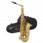 SLADE E-Flat Eb Alto Saxophone Gold Lacquer with Storage Case Kit