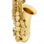 SLADE E-Flat Eb Alto Saxophone Gold Lacquer with Storage Case Kit