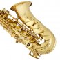 SLADE E-Flat Eb Alto Saxophone Gold Lacquer with Storage Case Kit