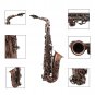 Slade Red Bronze Bend Eb E-flat Alto Saxophone Sax Abalone Shell Key Carve Pattern with Case Gloves