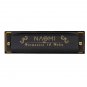 NAOMI  7PCS/Set 10 Holes C Key Piedmont Blues Harmonica with Case