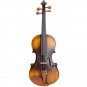 Astonvilla AV-E310 Matte Electro-Acoustic EQ Violin with Case Bow Rosin Extra Strings