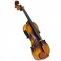 Astonvilla AV-E310 Matte Electro-Acoustic EQ Violin with Case Bow Rosin Extra Strings