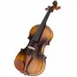 Astonvilla AV-E310 Matte Electro-Acoustic EQ Violin with Case Bow Rosin Extra Strings