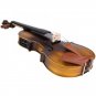 Astonvilla AV-E310 Matte Electro-Acoustic EQ Violin with Case Bow Rosin Extra Strings