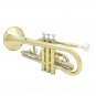 SLADE Brass Bb Mini Pocket Cornets Trumpet Kit for School Band with Case