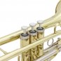 SLADE Brass Bb Mini Pocket Cornets Trumpet Kit for School Band with Case