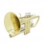 SLADE Brass Bb Mini Pocket Cornets Trumpet Kit for School Band with Case