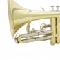 SLADE Brass Bb Mini Pocket Cornets Trumpet Kit for School Band with Case