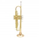 SLADE Gold Brass Bb Trumpet Kit Phosphorus-copper Trumpet Mouth for Beginners School Band with Carri
