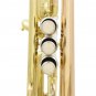 SLADE Gold Brass Bb Trumpet Kit Phosphorus-copper Trumpet Mouth for Beginners School Band with Carri