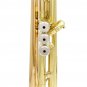 SLADE Gold Brass Bb Trumpet Kit Phosphorus-copper Trumpet Mouth for Beginners School Band with Carri