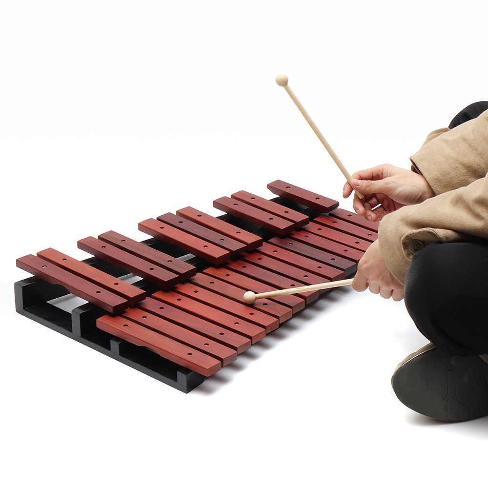 25 Notes Wooden Xylophone Percussion Educational Gift with 2 Mallets