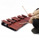 25 Notes Wooden Xylophone Percussion Educational Gift with 2 Mallets