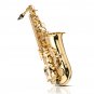 Gold Bend Alto Eb E-flat Tune Saxophone with Clean Tools
