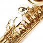 Gold Bend Alto Eb E-flat Tune Saxophone with Clean Tools
