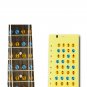 Ukulele Guitar Fretboard Note Scale Note Fingerboard Frets Map Sticker For Beginner Learner