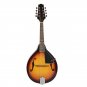 Sunset Color Rose Wood 8 Strings F Hole Mandolin for Music Player Gift