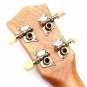 21 inch Soprano Ukulele Uke Sapele 12 Frets Musical Instrument