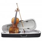 Aston 4/4  Spruce wood Carving Violin with Bow String Mute Case AV-30