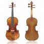 Aston 4/4  Spruce wood Carving Violin with Bow String Mute Case AV-30