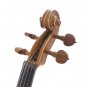 Aston 4/4  Spruce wood Carving Violin with Bow String Mute Case AV-30