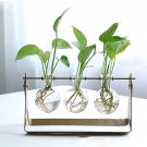 Desktop Glass Planter Bulb Vase with Classic Solid Iron Stand and Metal Swivel Holder for Hydroponic