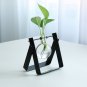 Desktop Glass Planter Bulb Vase with Classic Solid Iron Stand and Metal Swivel Holder for Hydroponic