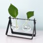 Desktop Glass Planter Bulb Vase with Classic Solid Iron Stand and Metal Swivel Holder for Hydroponic