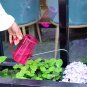 Plastic Watering Kettle Can Pot Stainless Steel Long Mouth Garden Flowers Plants Tools Kit