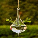 Hanging Glass Ball Vase Plant Flower Pot Terrarium Container Party Wedding Decor