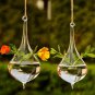 Hanging Glass Ball Vase Plant Flower Pot Terrarium Container Party Wedding Decor