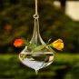 Hanging Glass Ball Vase Plant Flower Pot Terrarium Container Party Wedding Decor