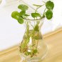 Mrosaa 14.5*7.3*5.5cm Transparent Glass Vase Flower Plant Vases Home Garden Office Decorations