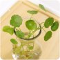 Mrosaa 14.5*7.3*5.5cm Transparent Glass Vase Flower Plant Vases Home Garden Office Decorations