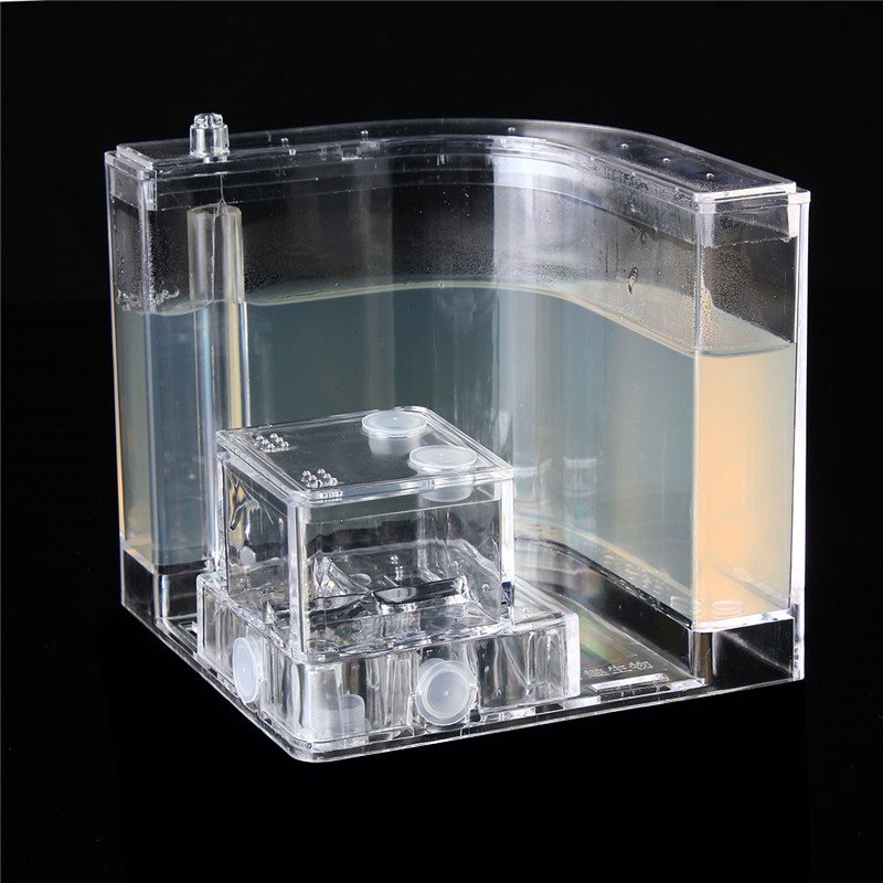 3D Ant Farm Gel Maze Live Ant Habitat Kids Science Educational Feeding System Toys