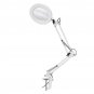 5X Magnifier Magnifying Glass LED Large Lens Lighted Lamp Top Desk with Clamp