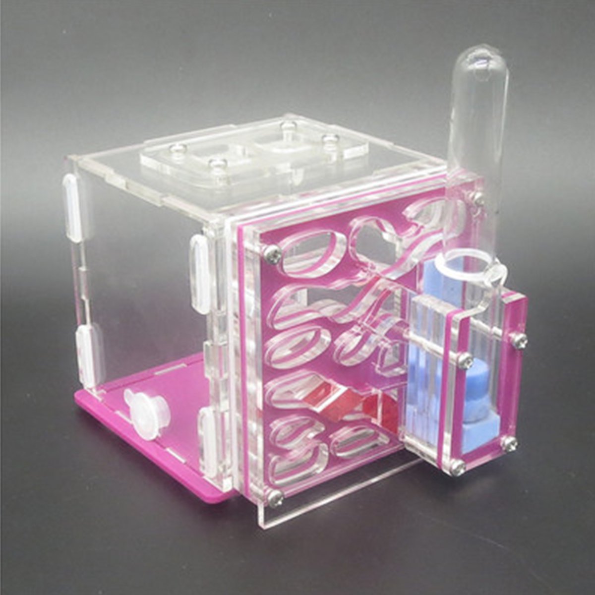 3D Acrylic Ant Farm Nest Formicarium Housing DIY Ant Farm House Display Box for Ants Colony Living W