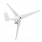 3/5 Blades Wind Generator DC 12/24V 1000W Peak Wind Turbine With Charge Controller