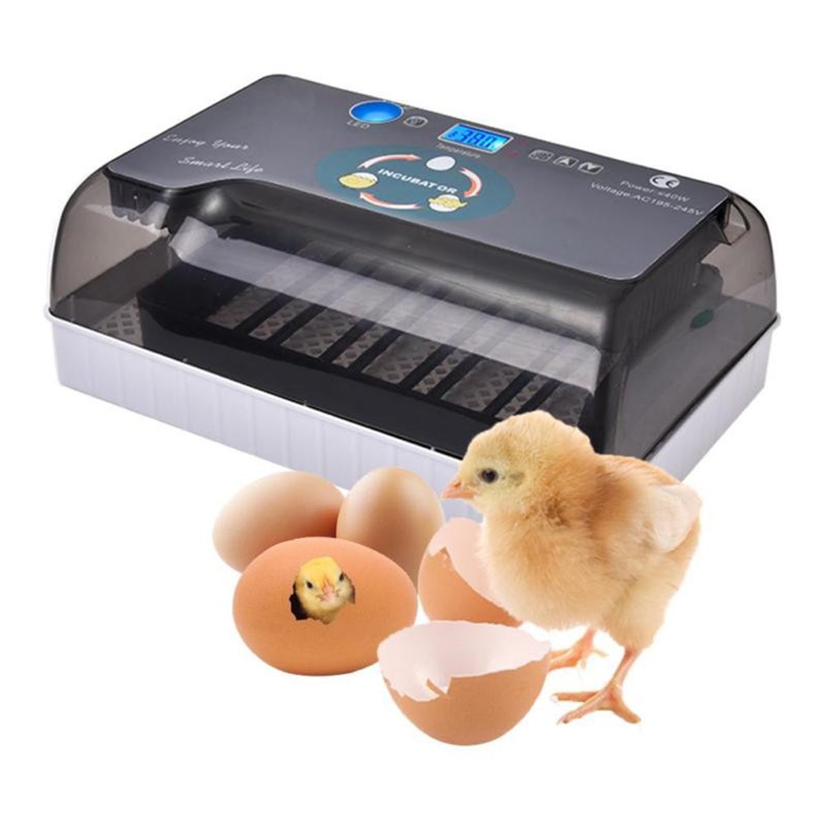 110/220V Intelligent Egg Incubator Digital Fully Automatic Hatching Incubator 12 Position