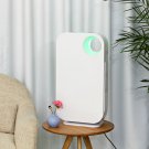 HEPA Air Purifier Ionizer Filter Allergies Eliminator Cleaner Dust Smoke
