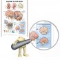 Human Anatomy of the Brain Poster Anatomical Chart Human Body Medical Education
