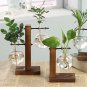 Tabletop Desk Decor Bulb Glass Hydroponic Vase Flower Plant Pot Wooden Tray Hydroponic System