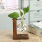 Tabletop Desk Decor Bulb Glass Hydroponic Vase Flower Plant Pot Wooden Tray Hydroponic System
